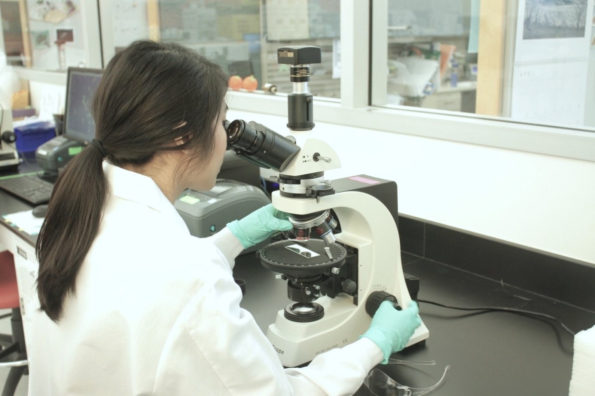 A woman wearing a lab coat examining samples under a microscope as part of topical drug product testing.